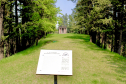 Sat. Aug. 9, 10am: Flathead CCL Walkers - Conrad Cemetery & Fairy Steps 19129