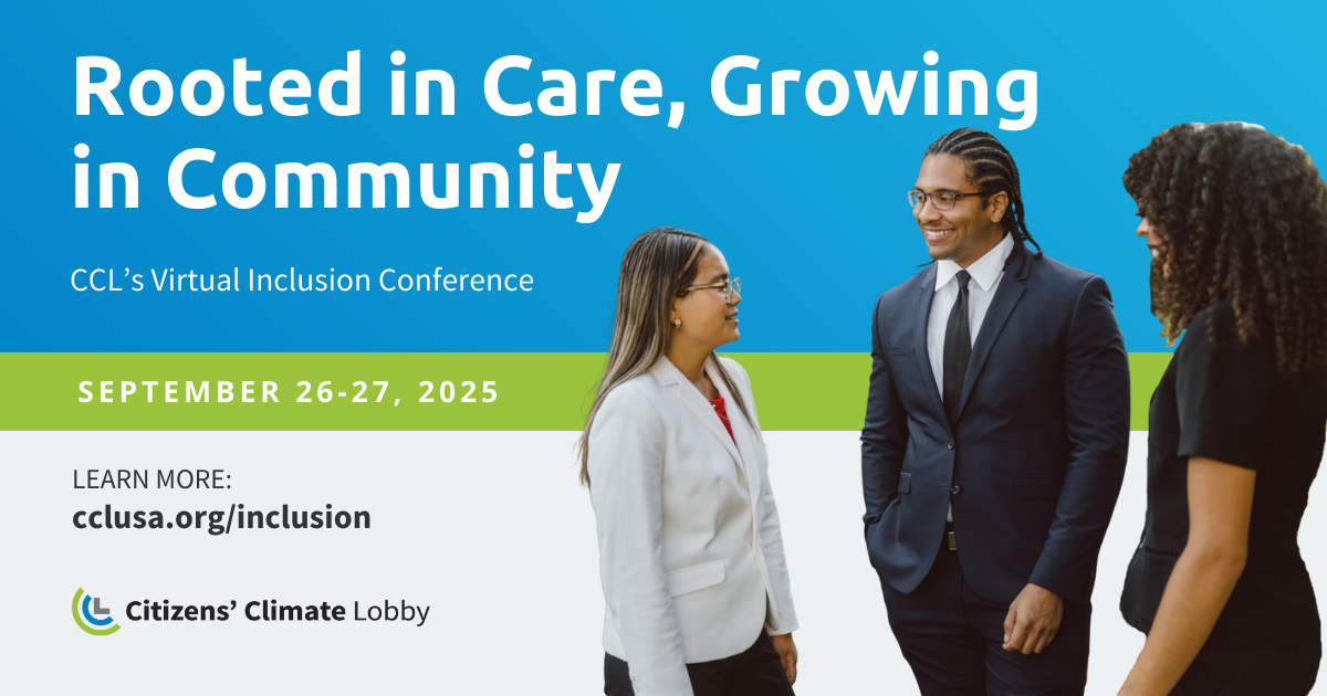 Inclusion Conference (virtual) 19138