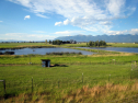 10am Sat. Oct. 11: Flathead CCL Walkers – Sue Cummings’ Scenic Farm in the Lower Valley Wetlands 19422
