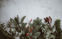 Christmas Ornament Craft Event (Albuquerque area, Saturday, November 8, 1-3pm) 19496