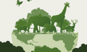 Detroit Zoo Environmental Tour: "From Habitat to Hope" 19521