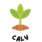 caly.png