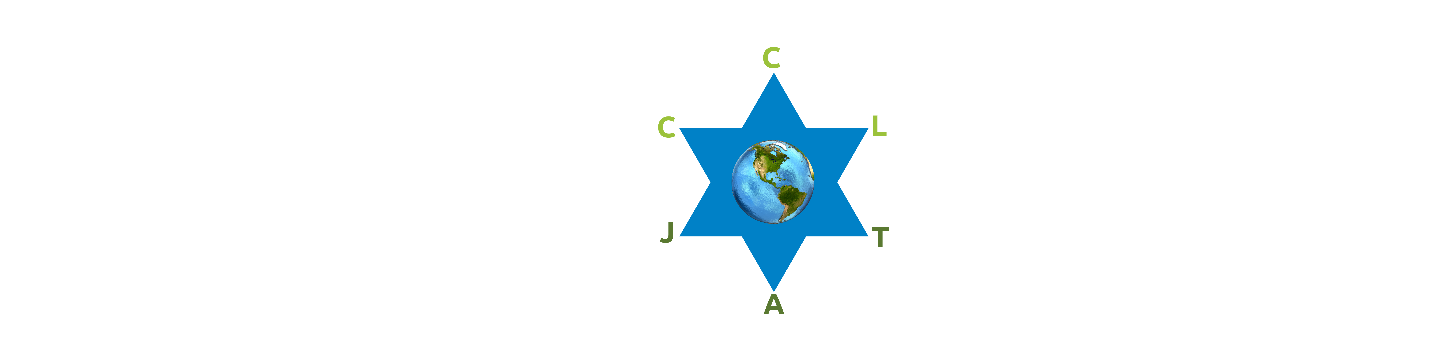 Jewish Action Team 955