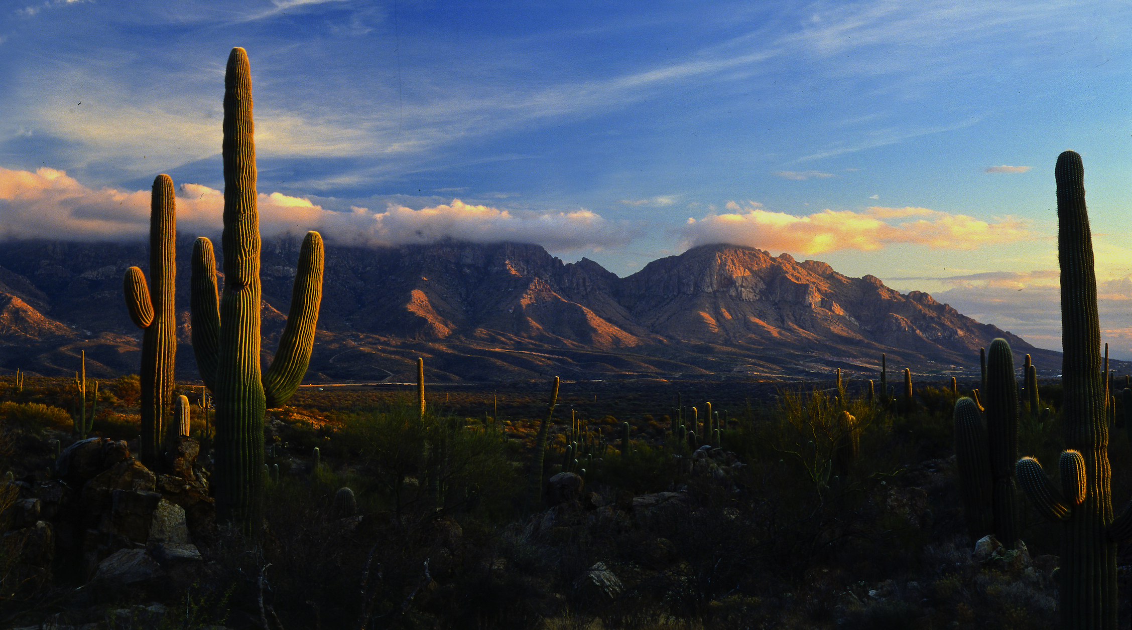 AZ Greater Tucson 1136