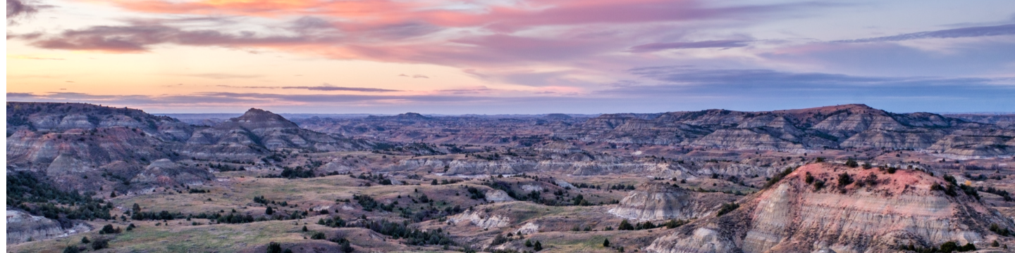 North Dakota - At Large 2221