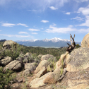 CO Chaffee County 2555