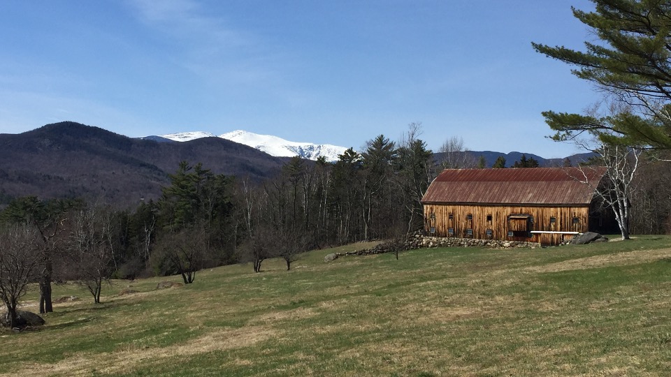 NH Mount Washington Valley 3004