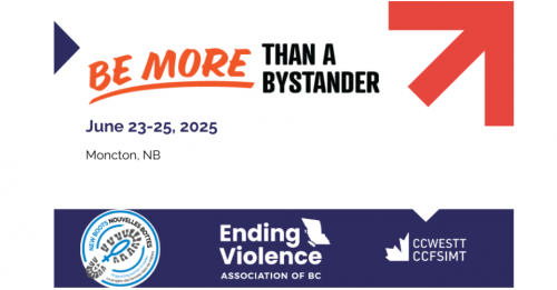 Be More Than a Bystander training in New Brunswick 161