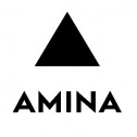 Amina Technologies Ltd 94