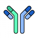 DSHB (Developmental Studies Hybridoma Bank) 109
