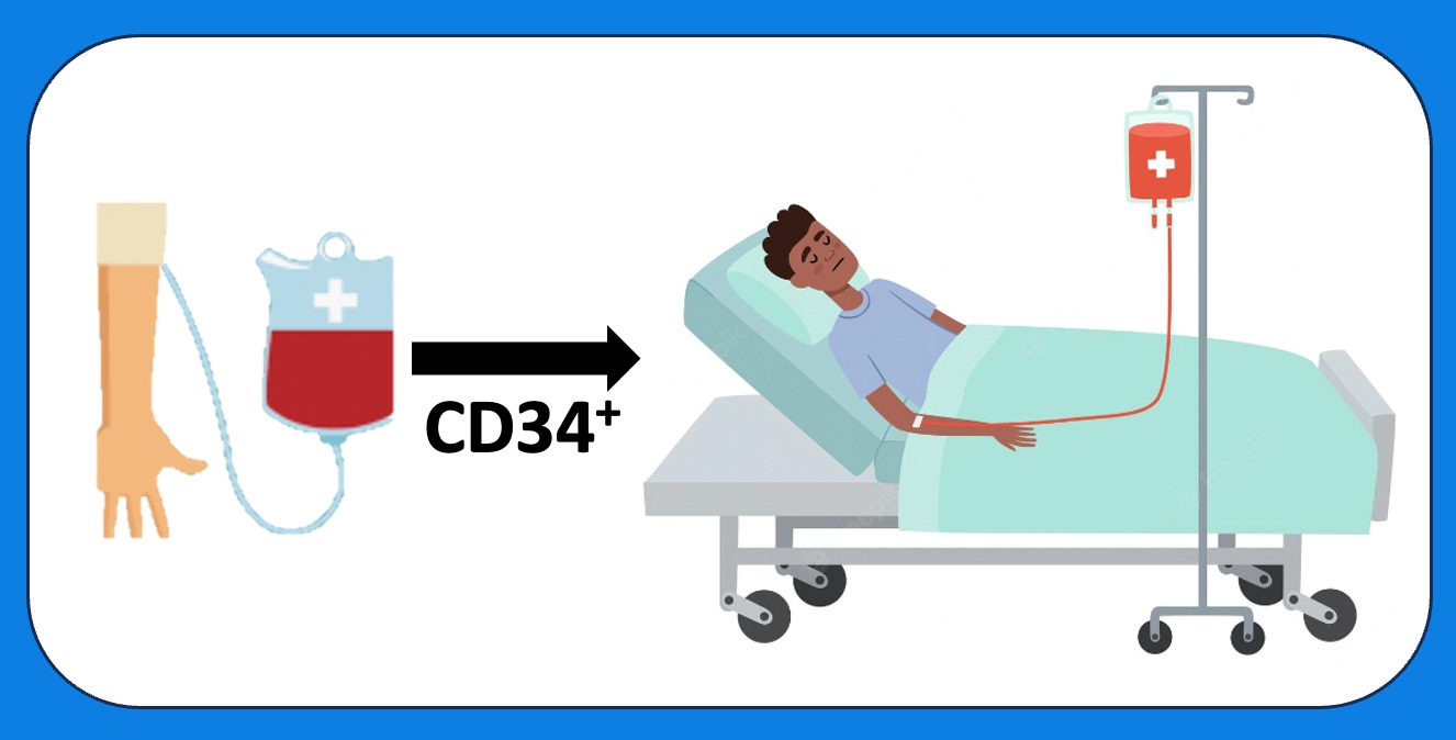 Free online tissue stem cell calculators 156