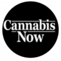 CANNABIS NOW MAGAZINE 156