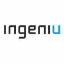 Ingeniu 295