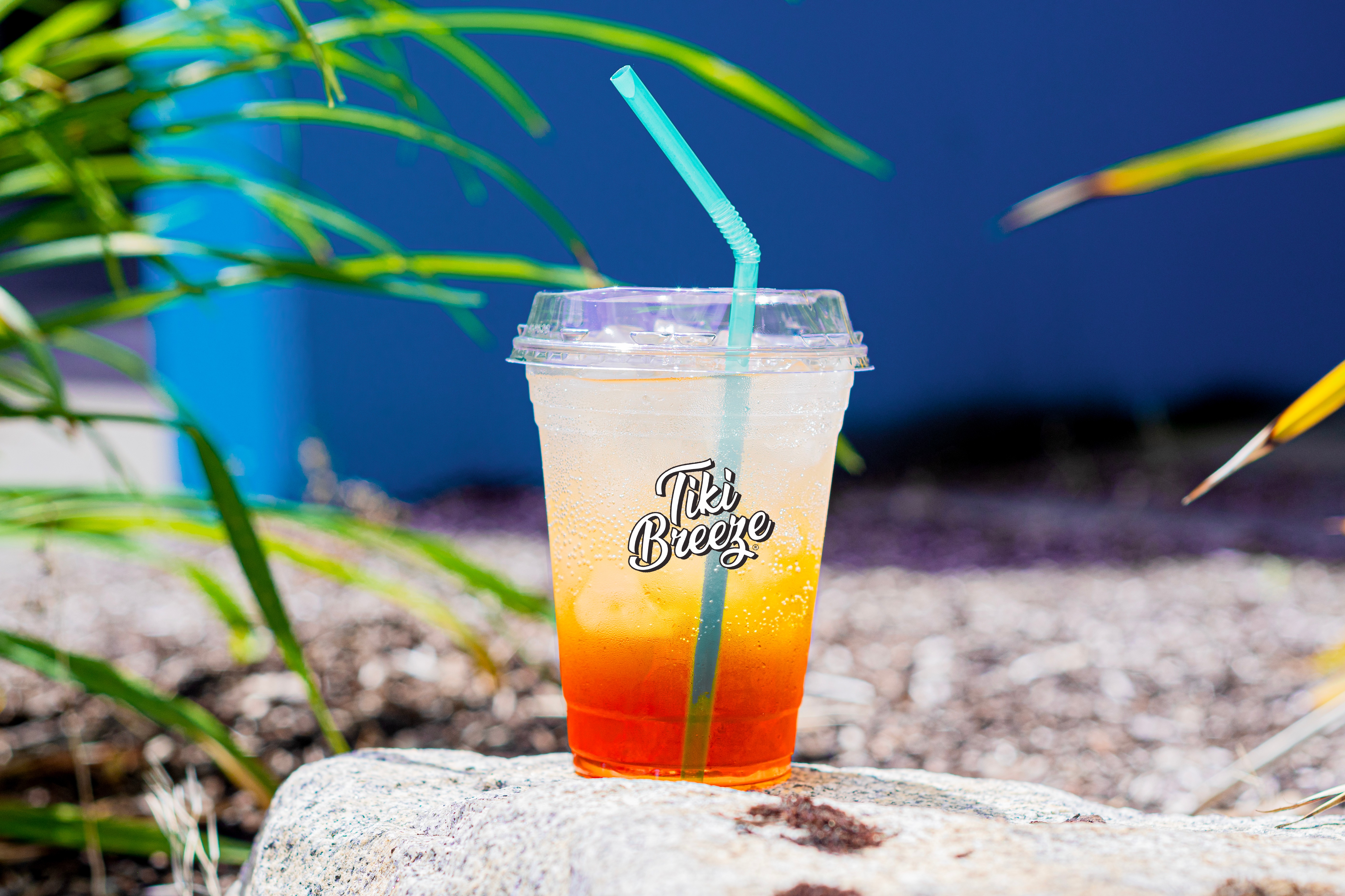 TikiBreeze Tropical Drinks 45