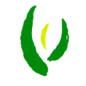 Hankook Tea Company 91