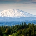 South View of Mount Saint Helens 4005