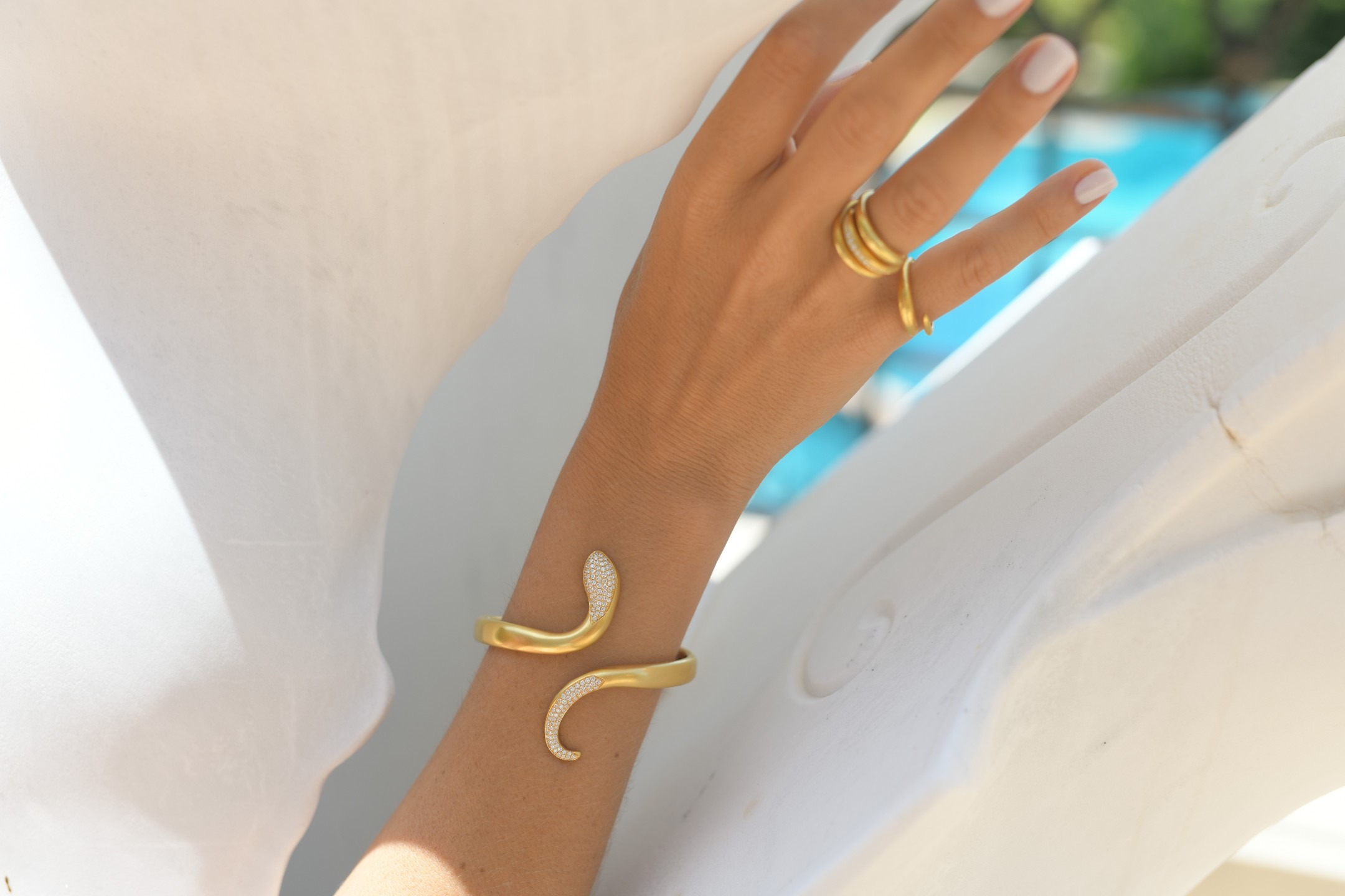 Animal Kingdom collection 178