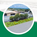 Micapel Slate 693