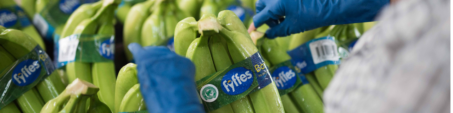 Fyffes North America 22