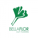 Bellaflor Group 334