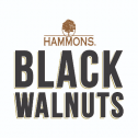 Hammons Wild Black Walnuts 361