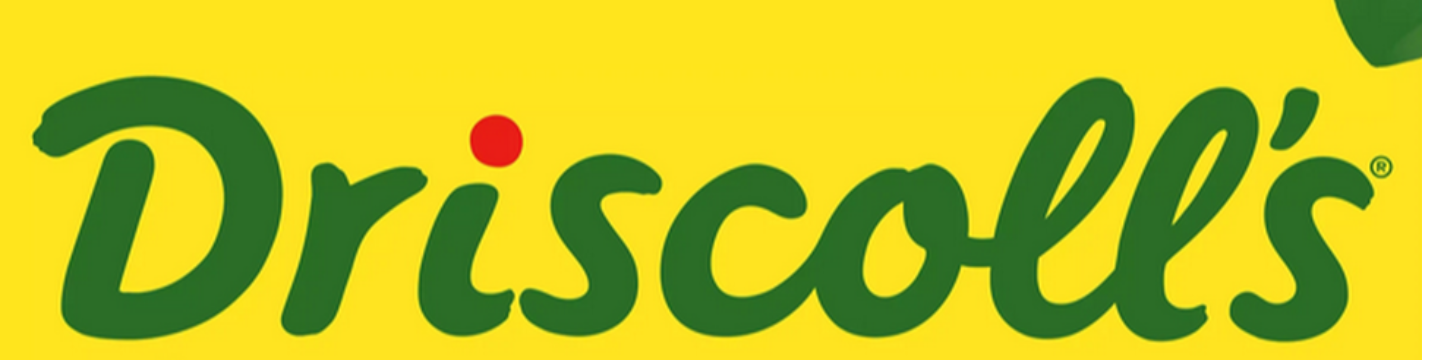 Driscoll's 148
