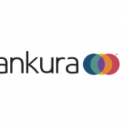 Ankura Consulting Group 39