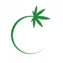Cannabiz Advisor 33