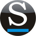 Stratedigm, Inc. 31