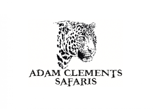 Adam Clements Safaris 57