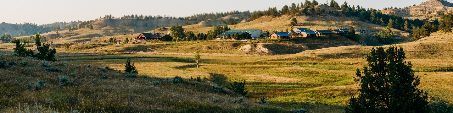 Sweetgrass at Thunderbasin 882