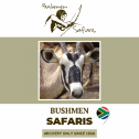 Bushmen Safaris 891