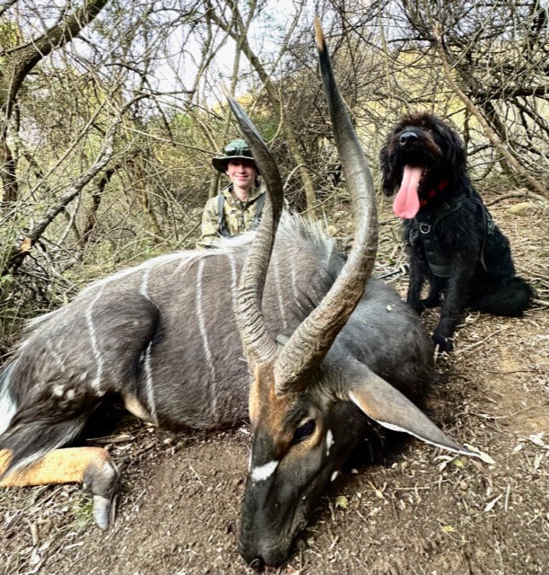 10 Day Combination Hunt / Big 5 Photo Safari 235