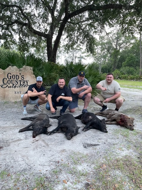 Hog Hunt with Dogs 319