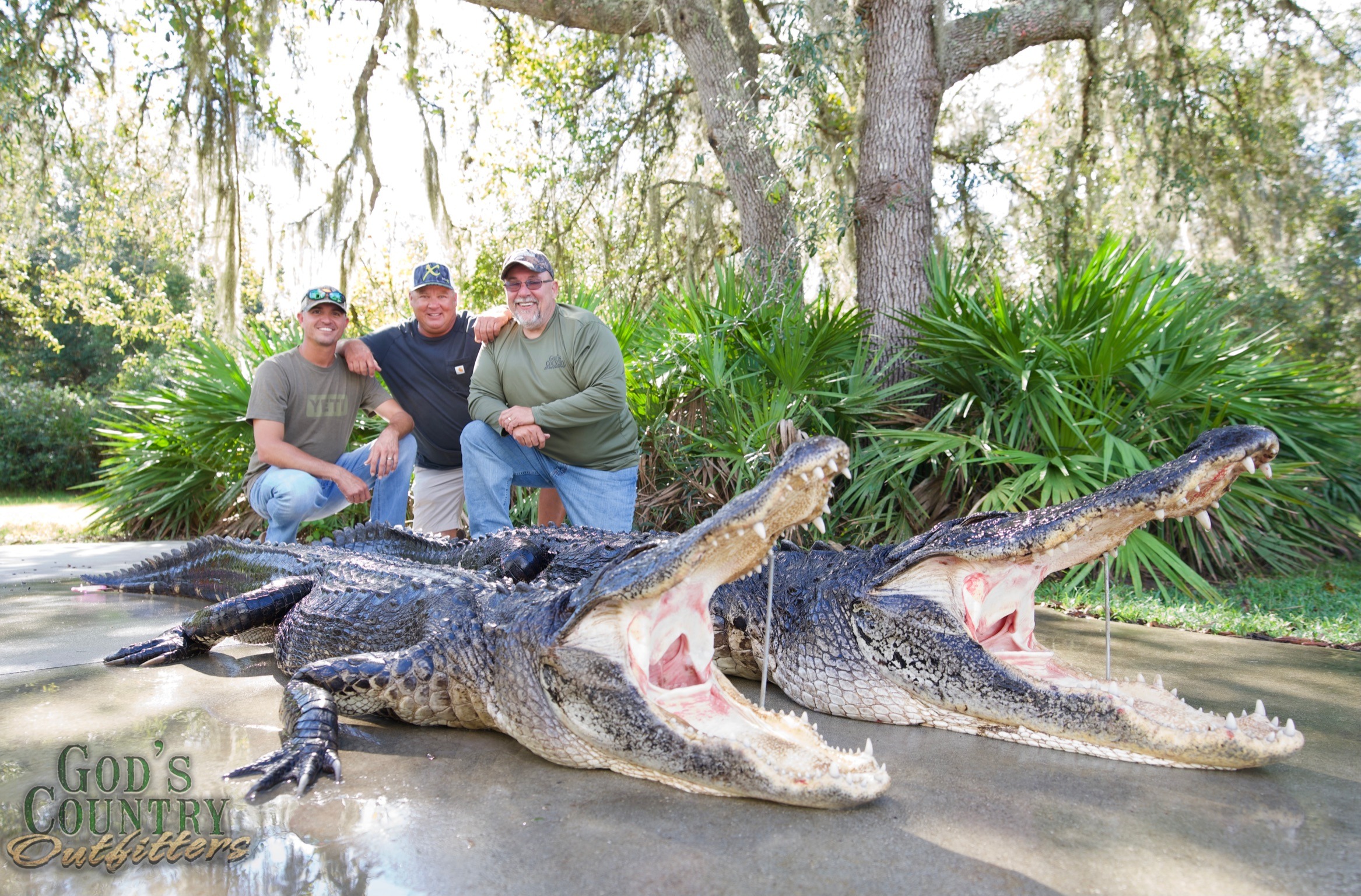 Private Land Gator Hunts 320