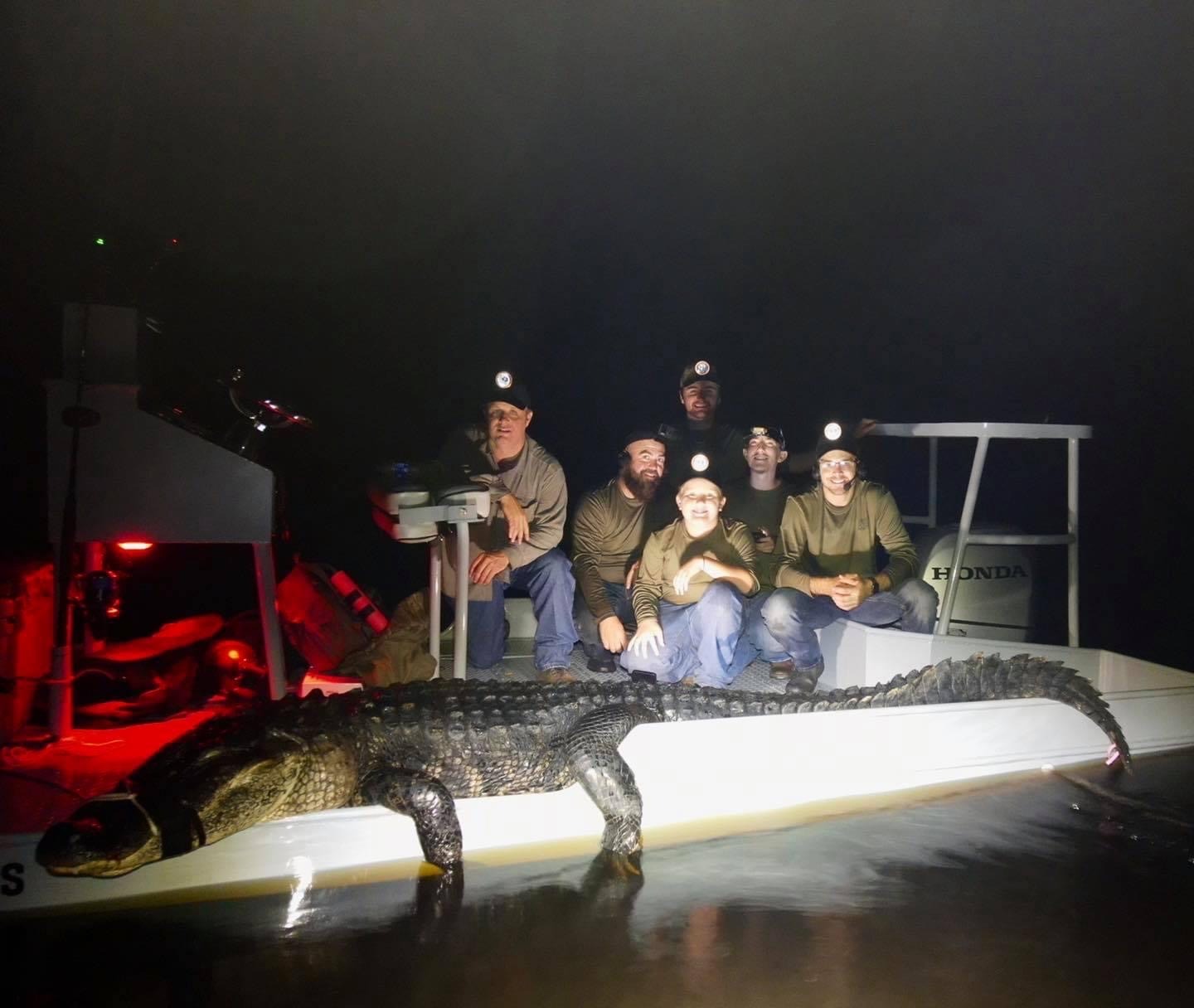 Public Gator Hunts 321