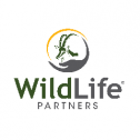 WildLife Partners 44