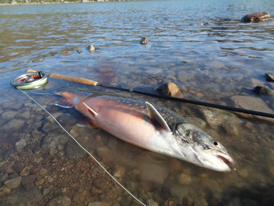 Fishing in Greenland 111