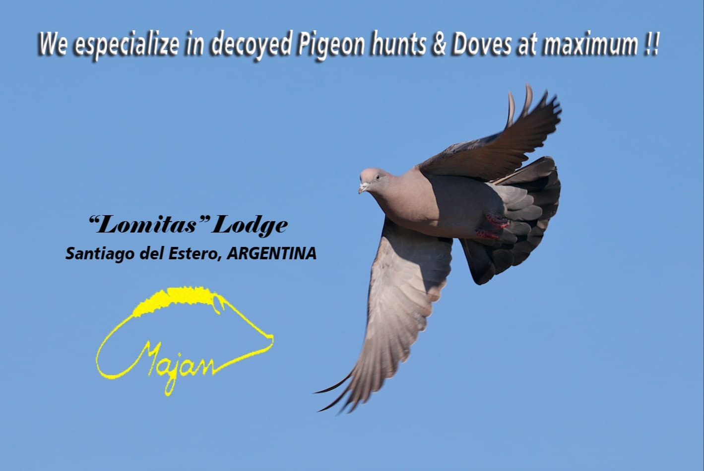 Extreme DOVE HUNTING 125