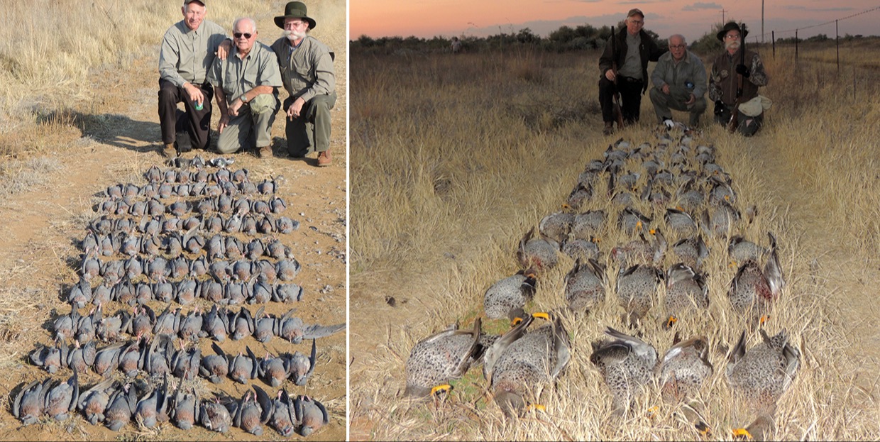 Bird Shooting Safaris 21