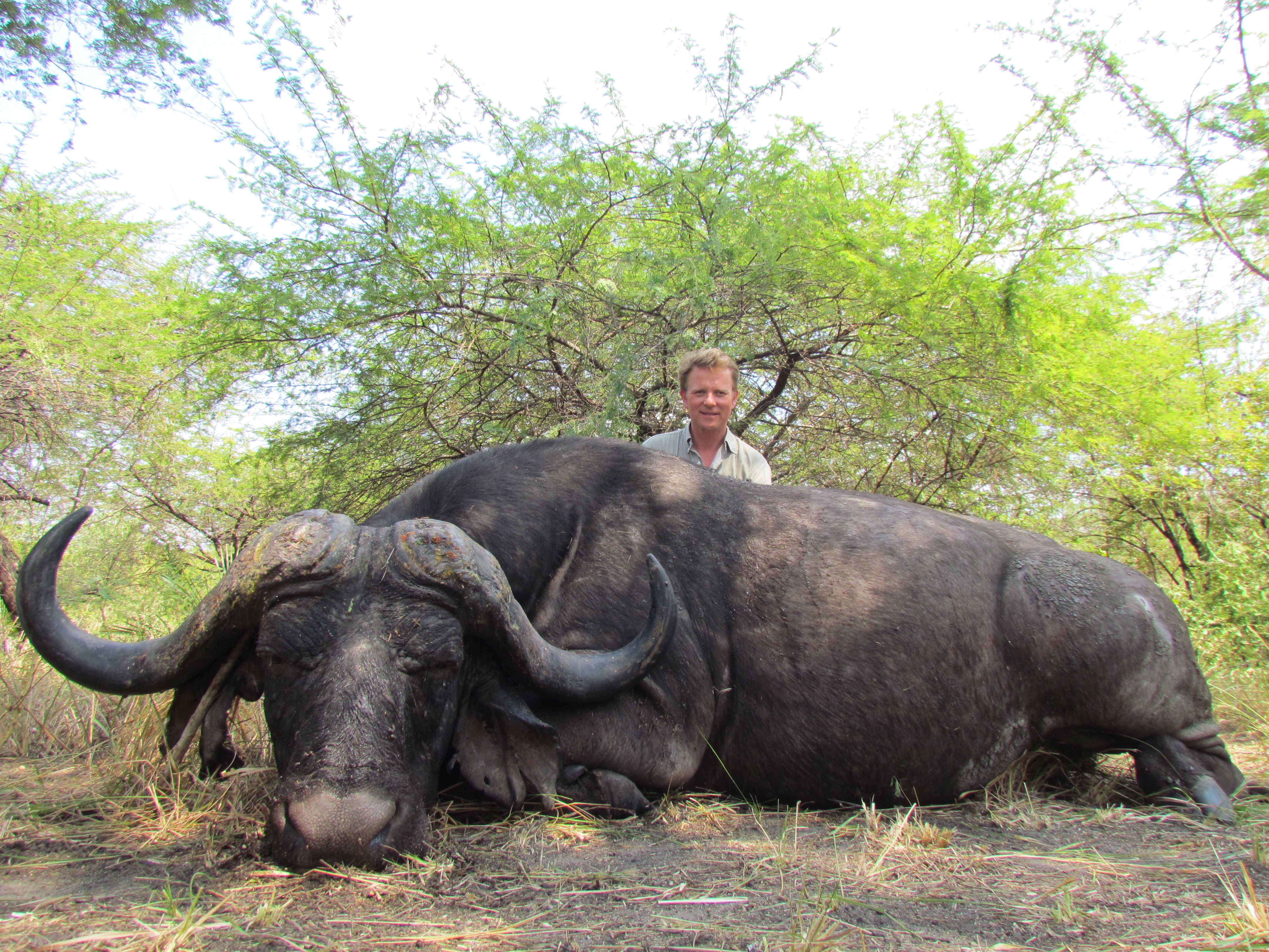 (4 x 2) 7 day 1 x Cape buffalo and Plains Game Safari $16 950/hunter 282