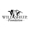 Wild Sheep Foundation 246