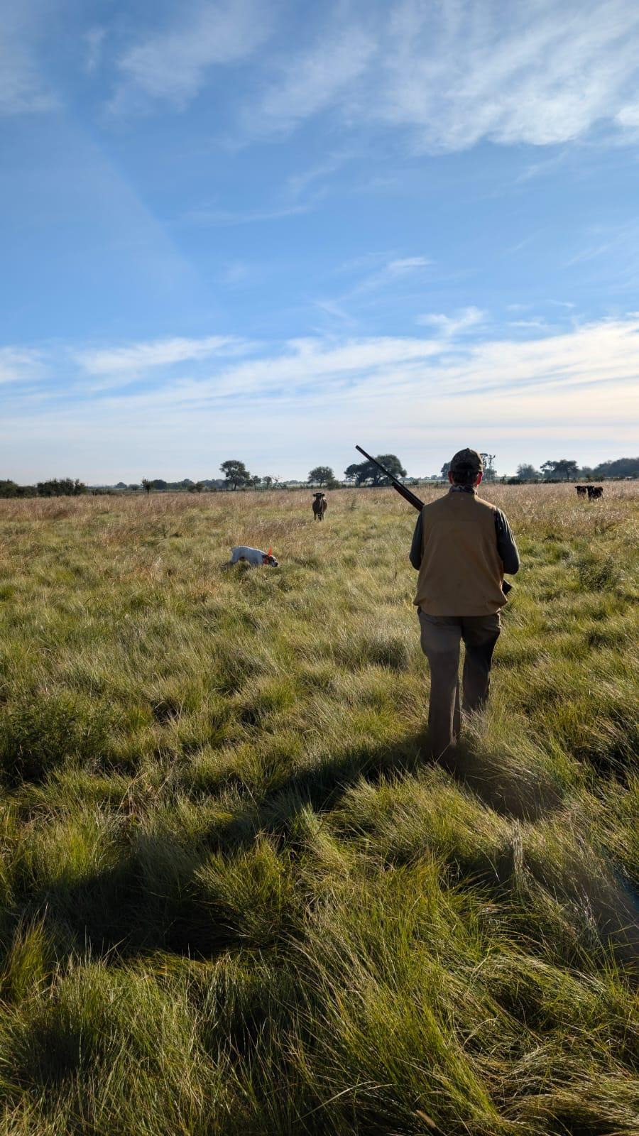 Partridge Hunting 43