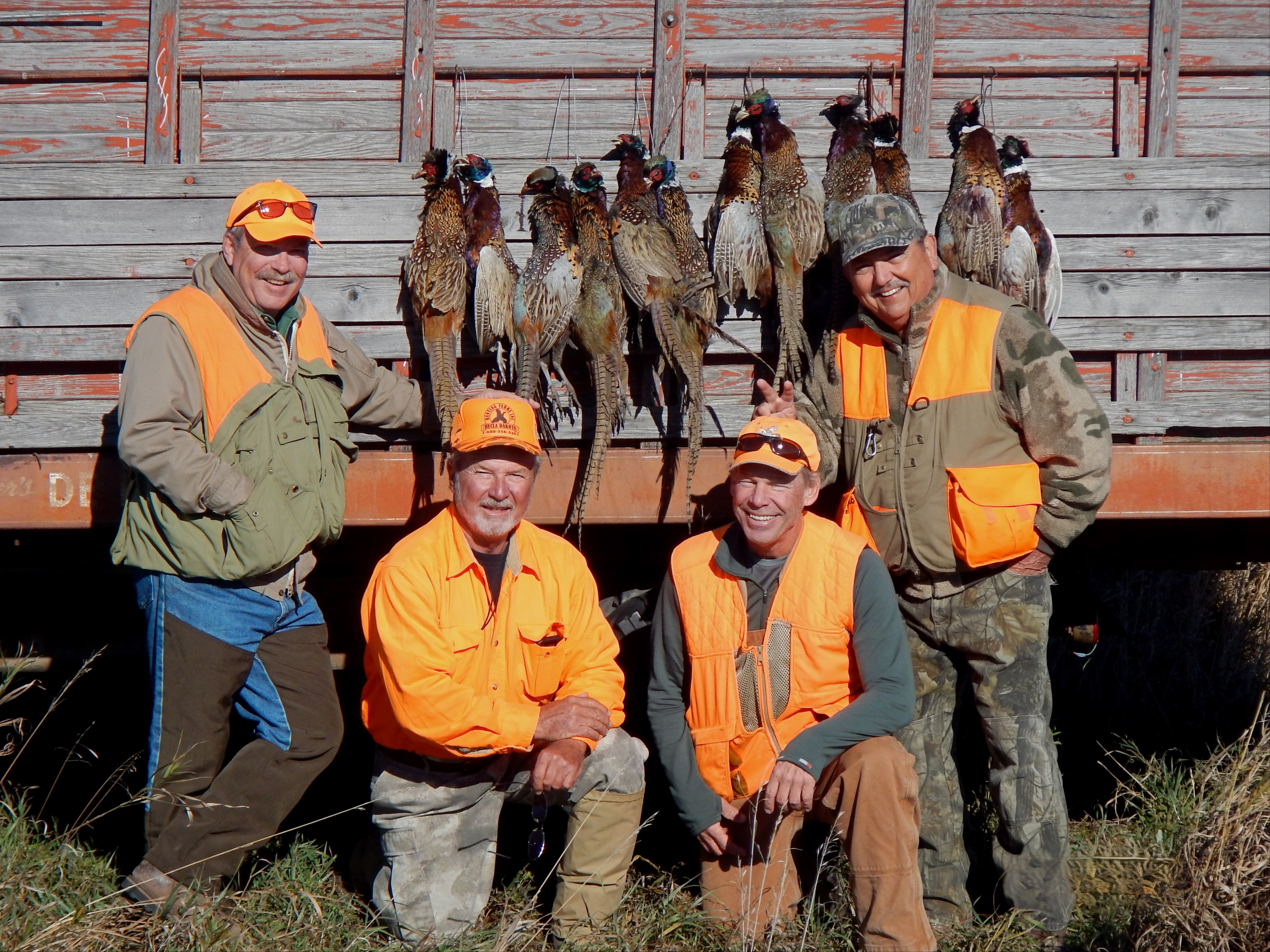 Upland Pheasant Hunt 47