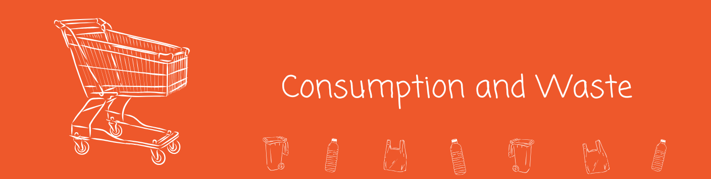 Consumption and Waste project 218