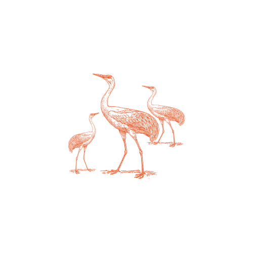 TEST - Habitat and Wildlife project 214