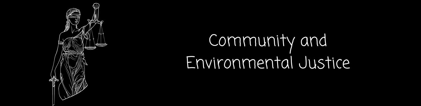 Community and Environmental Justice project 217