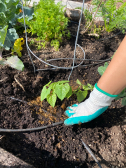 Composting and Collecting Crew 1015