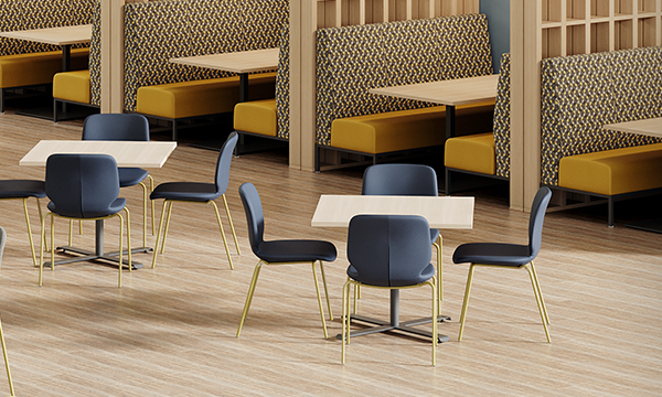 Fizz—Campus-Proof, Student-Tested 206