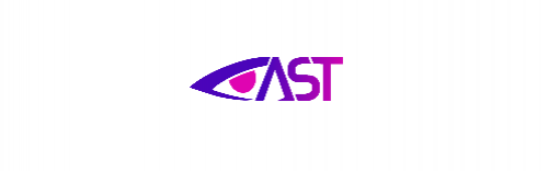Advanced Security Technologies 315